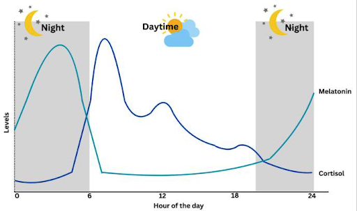 cortisol-detection-methods.png